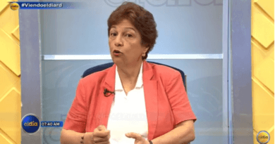 Politóloga Rosario Espinal