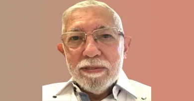Luis Fernández
