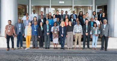 Taller sobre centros de transformación digital