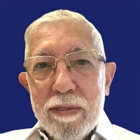 Luis Fernández